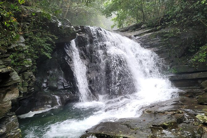 Bach Ma National Park trekking deluxe daily tour from Hue - Into the Jungle: Km12 to Hai Vong Dai by Motorbike