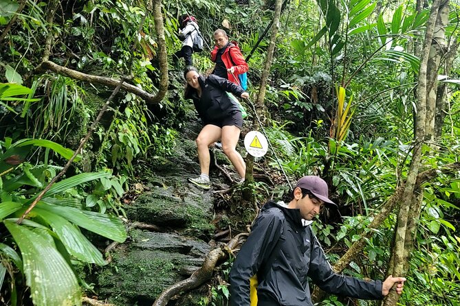 Bach Ma National Park trekking deluxe daily tour from Hue - Do Quyen Waterfall: The Optional Steep Trek and the Big Payoff