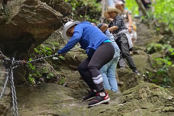Bach Ma National Park trekking deluxe daily tour from Hue - Getting From Hue to the Park: The Ride That Sets the Tone