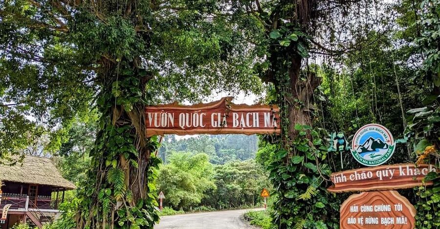 Bach Ma National Park Trekking Tour From Hue/Da Nang/Hoi An - Hai Vong Dai Peak: The View Part You’ll Care About