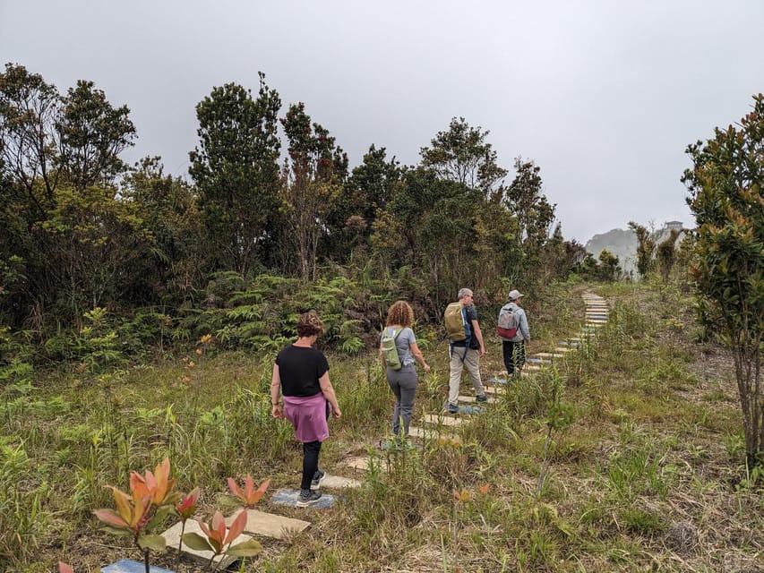 Bach Ma National Park Trekking Tour From Hue/Da Nang/Hoi An - Picnic Lunch: A Planned Break, Not a Random Stop