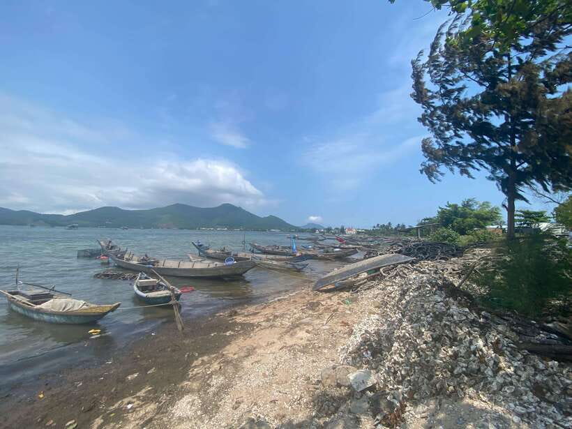 Chan May Port : to Golden Bridge/Imperial City/Hoi An Town - Price and Logistics: The Real Value of $20 Per Person