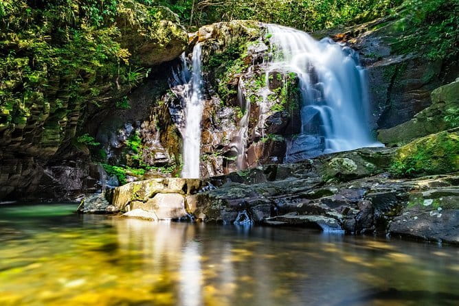 Explore Bach Ma National Park - Trekking with Small Group Tour - Entering Bach Ma National Park at park pace