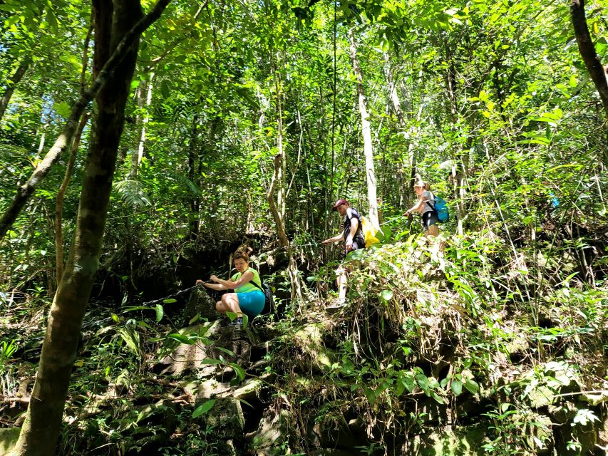 From Hue: Bach Ma National Park Hiking Day Trip with Pickup - Hai Vong Dai (Bach Ma Peak): where the panoramic payoff happens