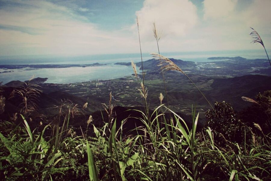 From Hue/Da Nang/Hoi An: Bach Ma National Park Trekking Tour - Key highlights worth planning around