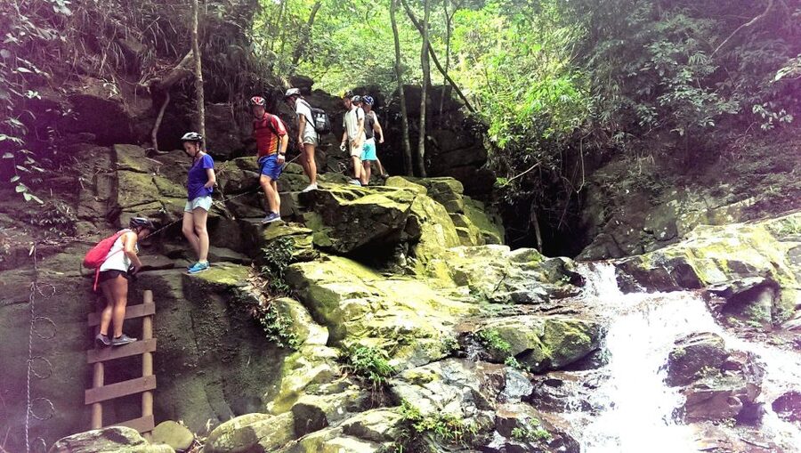 From Hue/Da Nang/Hoi An: Bach Ma National Park Trekking Tour - Why Bach Ma feels like a real nature day (not just a bus ride)