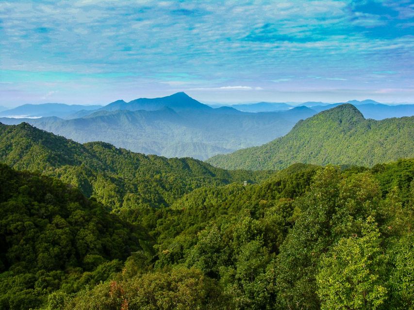 From Hue/Da Nang/Hoi An: Bach Ma National Park Trekking Tour - Price and value: why $39 can work if you’re the right match