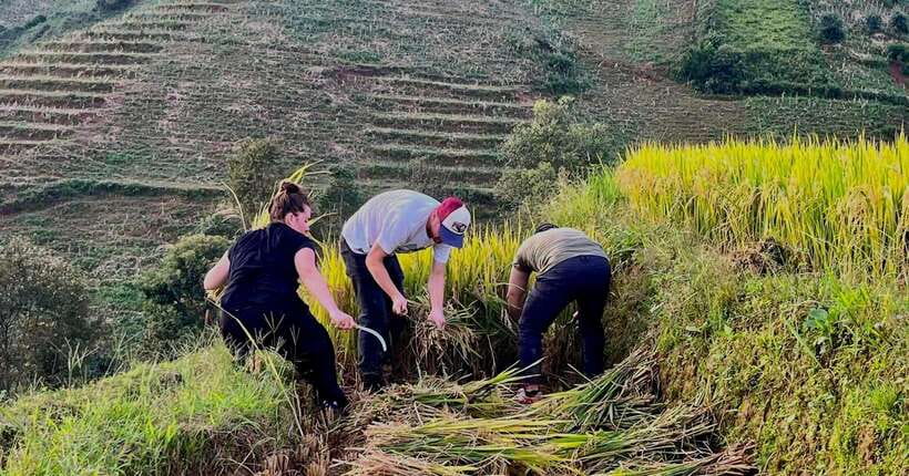 Hanoi: 3-Day Mu Cang Chai Trekking, Hidden Trail, Local Life - Food, Happy water, and cultural exchange without the forced script