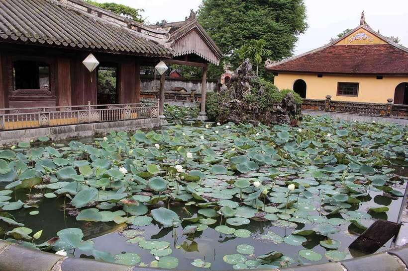 Hue Car Rental with Driver for Transfer Trip and Sightseeing - Quick hits: what makes this work so well