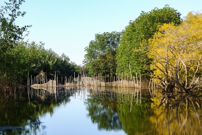 Hue Countryside Tour with Fishing Activities by Net and Trap - Thanh Toan Covered Bridge and Thanh Toan Agricultural Museum: Small Stops, Big Context