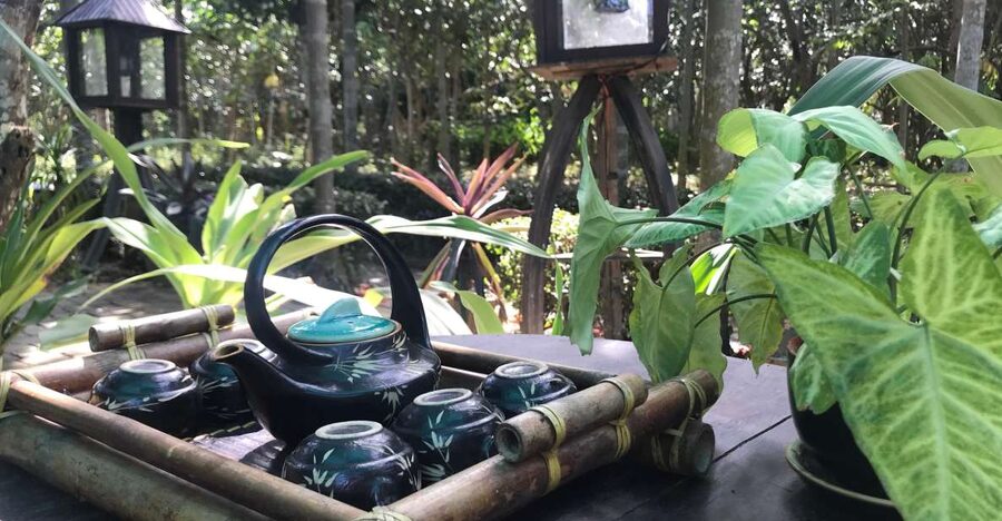 Hue: Thuy Bieu Village Bike Tour with Lunch - Cycling through Thuy Bieu’s pomelo gardens
