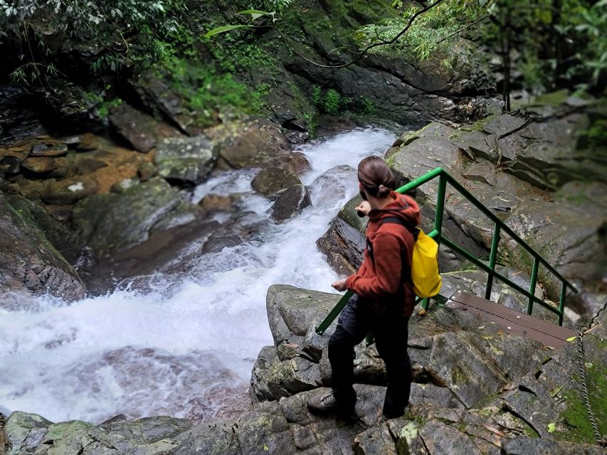 Hue to Da Nang/Hoi An via Bach Ma Trekking - Hue to Da Nang/Hoi An Transfer: clean start, limited stress