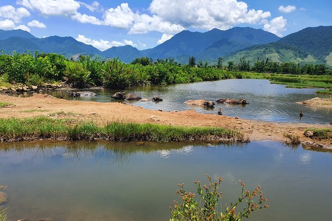 Motorbike Tour From Hue to Danang or Hoi An via Hai Van Pass - Hue to Da Nang or Hoi An: what you’re really buying