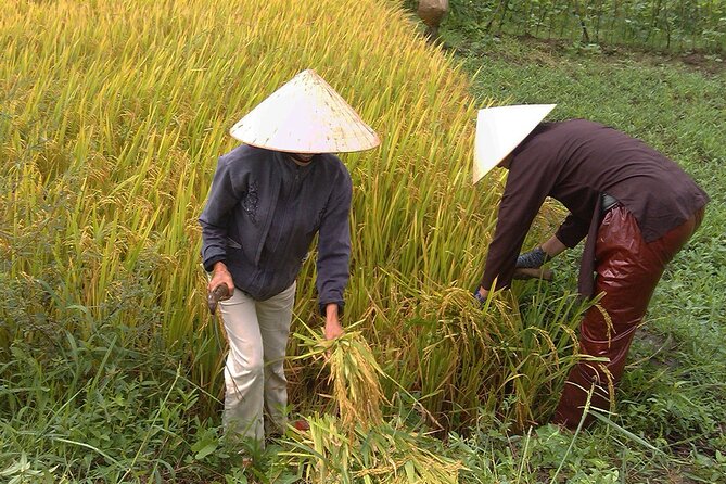 Private Cycling Tour in Rural Hue with Farming Experience - Why rural cycling around Hue feels different
