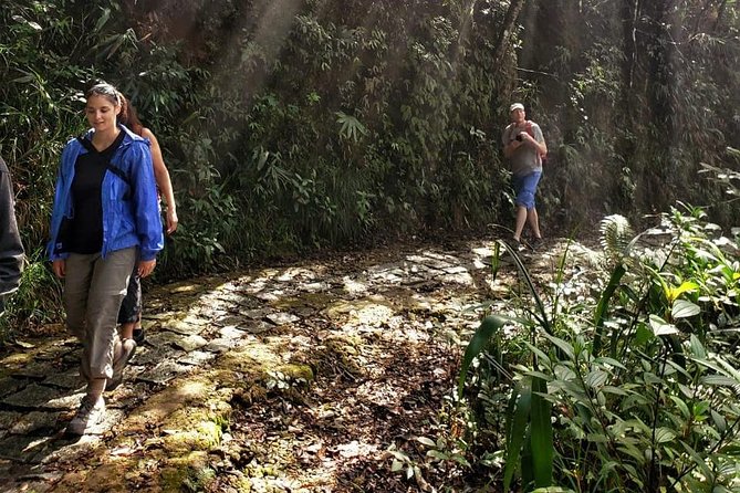 Small Group - Bach Ma National Park Trekking Tour From Hue - Rhododendron Waterfall and the Big Buddha Stop