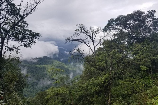 Small Group - Bach Ma National Park Trekking Tour From Hue - Who This Tour Fits Best (And Who Should Think Twice)