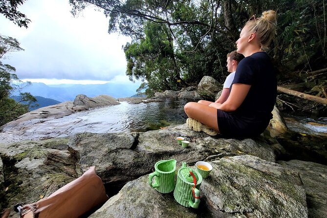 Transfer from Hue to Da Nang or Hoi An via Bach Ma National Park - Price and value: why $81 makes sense for this route