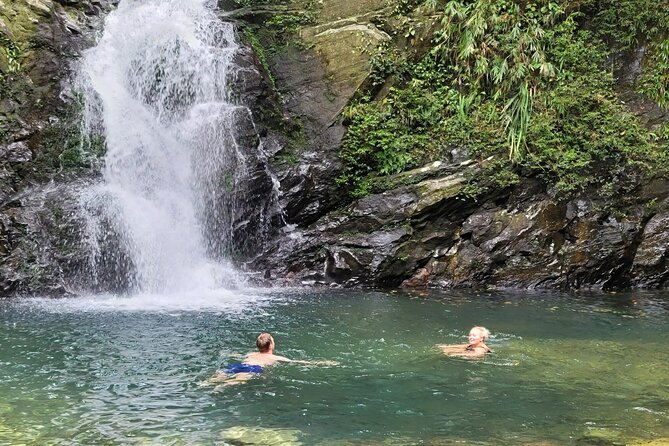 Transfer from Hue to Da Nang or Hoi An via Bach Ma National Park - Small-group travel: the real advantage of max 8